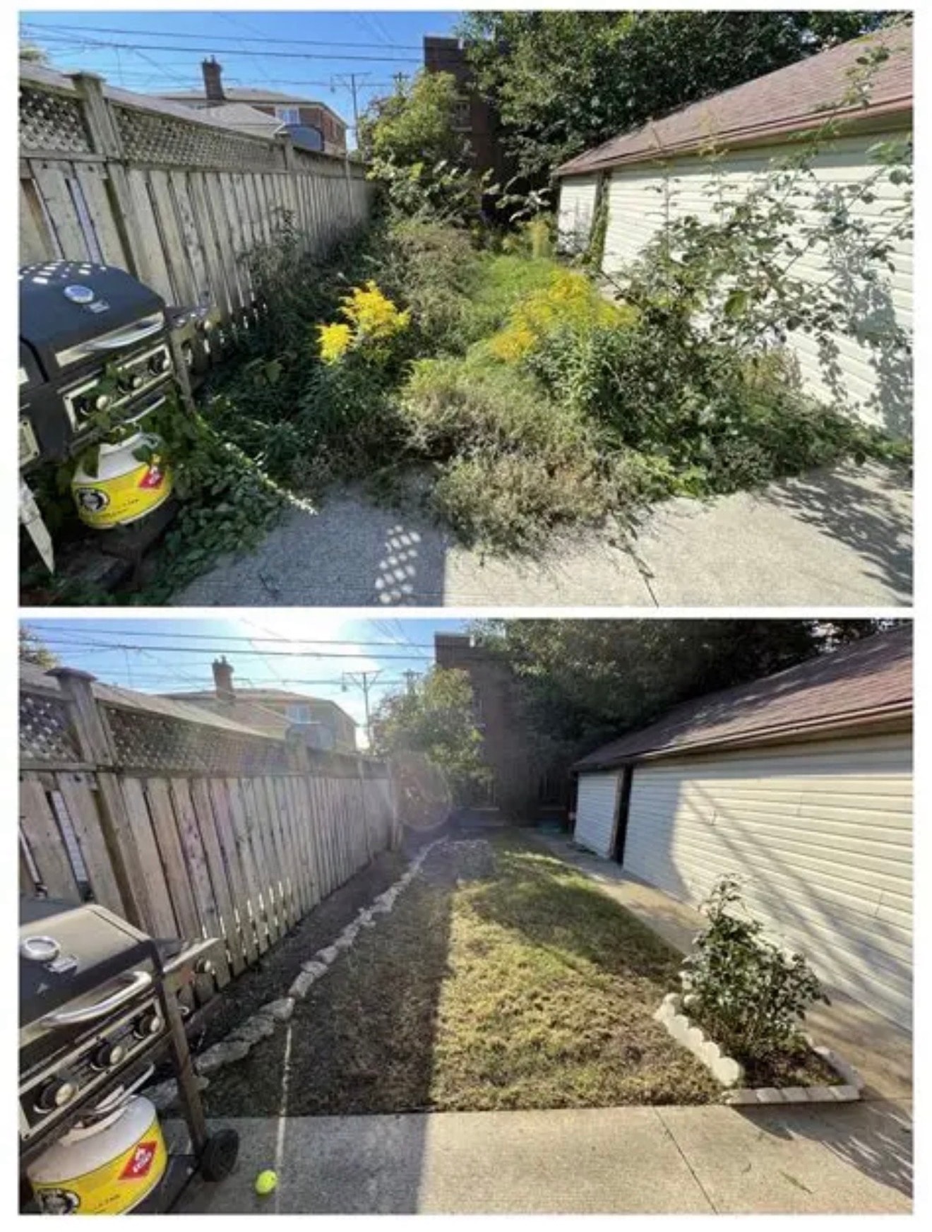 Overgrown backyard cleared and manicured